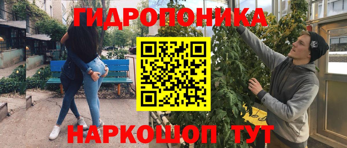 Марихуана марихуана  Марихуана марихуана  Видное  Марихуана семена  Вход с VPN 